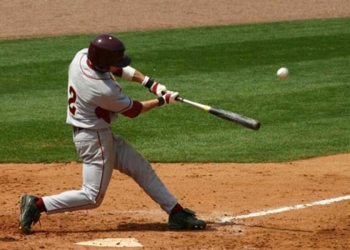 A woman was tragically killed by a baseball hit