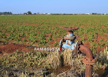 ©Famagusta.News