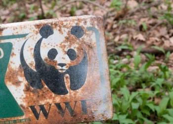 WWF: Κατηγορείται ότι χρηματοδοτούσε παραστρατιωτικές ομάδες που σκότωναν και βίαζαν