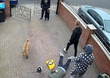 Βίντεο: Ξάπλωσε με μια μπουνιά συνομήλικό του γιατί παρενοχλούσε την άρρωστη μητέρα του