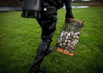 ACHIM, GERMANY - NOVEMBER 23: Ralf Oestmann, 46, walks in his wetsuit carrying a haul of golf balls he recovered from a lake at a golf course on November 23, 2017 in Achim, Germany. Oestmann makes a living from recovering sunken golf balls at golf courses across Germany. On an average day he will bring in 1,000 balls and manages 150,000 a year, which he sells online at a discount, earning him enough money to make a living. In return for free access to the golf course water hazards he performs care and maintenance of them. (Photo by Alexander Koerner/Getty Images)