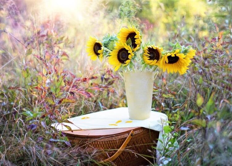 Λουλούδια (JillWellington/PIXABAY)