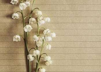 Εορτολόγιο/pexels