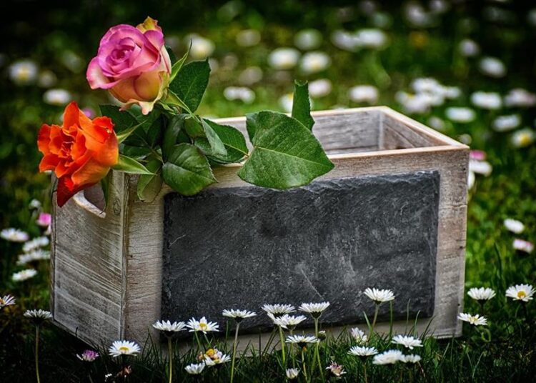 Χρόνια πολλά στους εορτάζοντες (Pixabay)