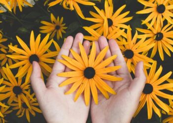 Εορτολόγιο 2025/pexels