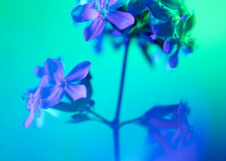 Εορτολόγιο