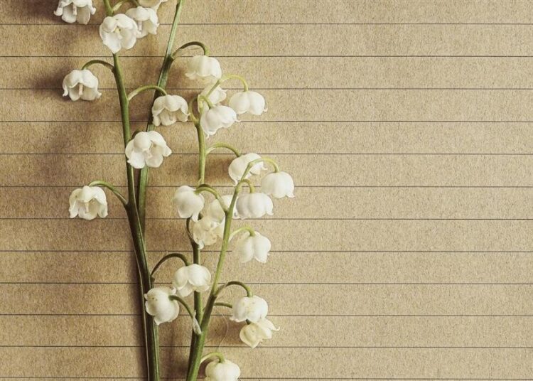 Εορτολόγιο/pexels