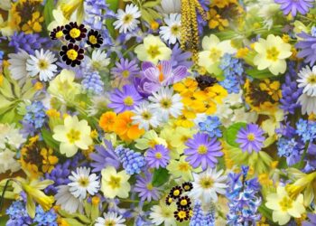 εορτολόγιο/pexels