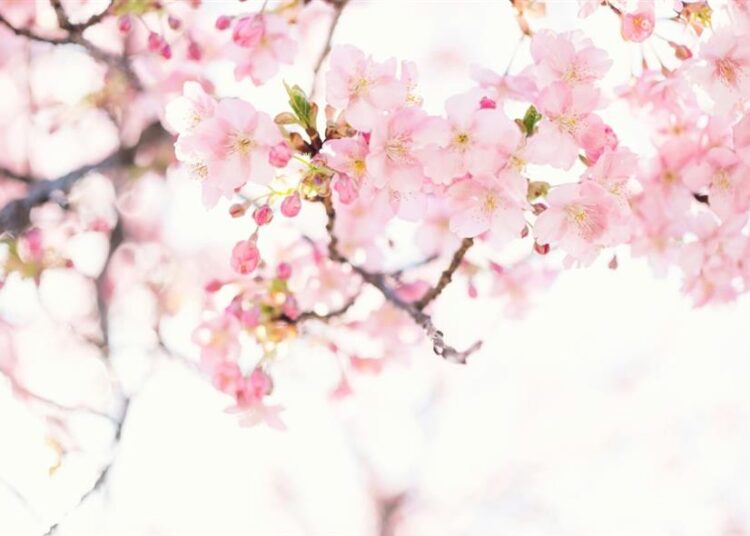 Εορτολόγιο (UNSPLASH)