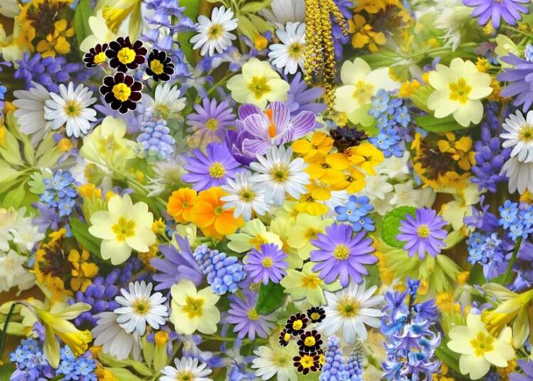 εορτολόγιο/pexels