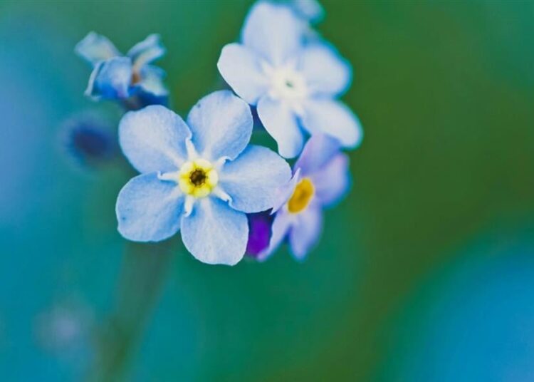 Εορτολόγιο/pexels