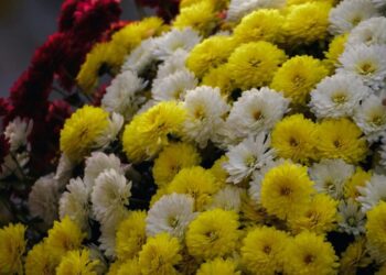 Εορτολόγιο/pexels