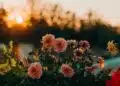 Name Day (unsplash)